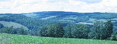 Steuben County Hike Series Cochrane Road